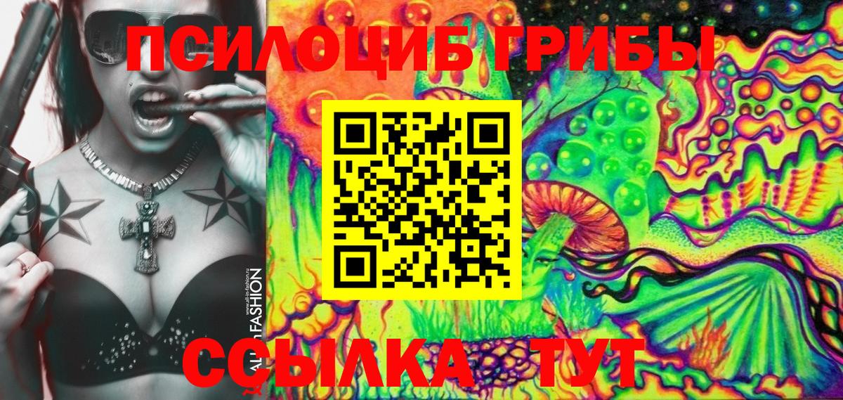 Псилоцибиновые грибы мухоморы Всеволожск