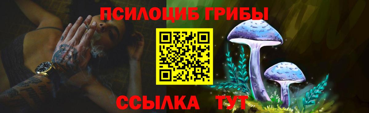 Всеволожск  Галлюциногенные грибы Psilocybine cubensis  Вход с VPN 