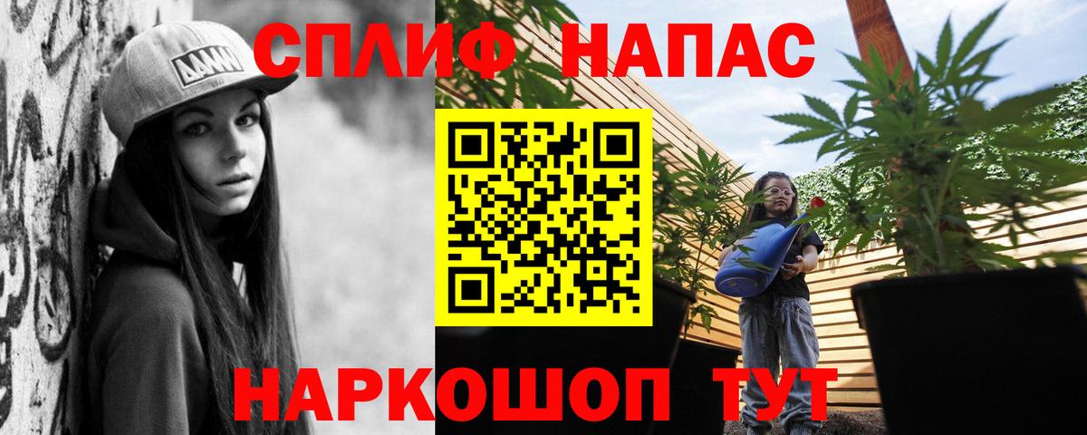 Всеволожск  Каннабис планчик  Конопля LSD WEED  Вход с VPN  Бошки марихуана сатива 